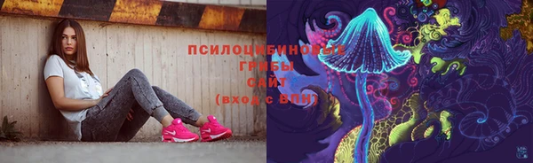 2c-b Новодвинск