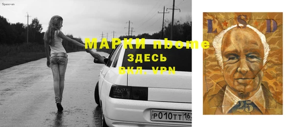 молекула духа Няндома