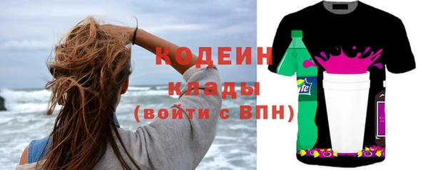 молекула духа Няндома