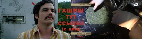 молекула духа Няндома