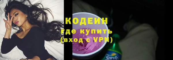 молекула духа Няндома