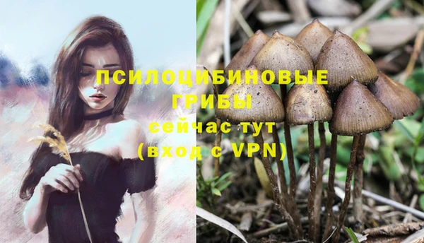 MDMA Нязепетровск