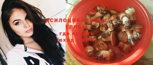 молекула духа Няндома