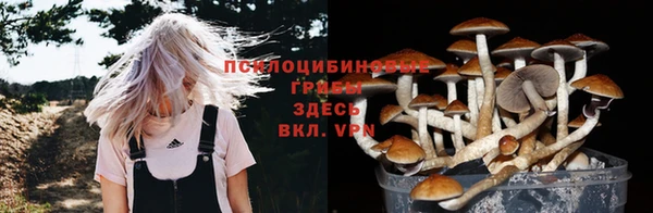 прущая мука Нягань