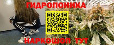 гидра Абакан
