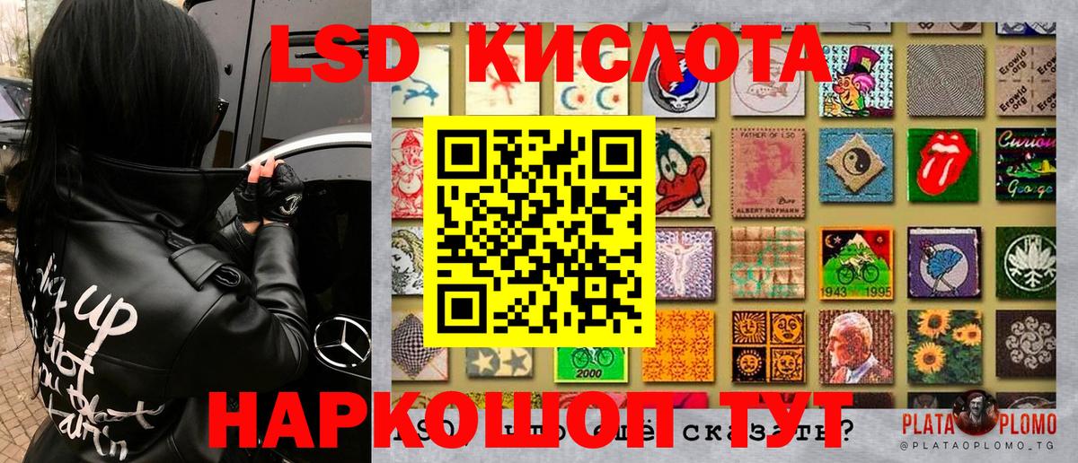 Галлюциногенные грибы Ейск