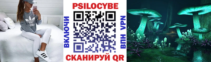 Псилоцибиновые грибы Magic Shrooms  где можно купить наркотик  Ейск 